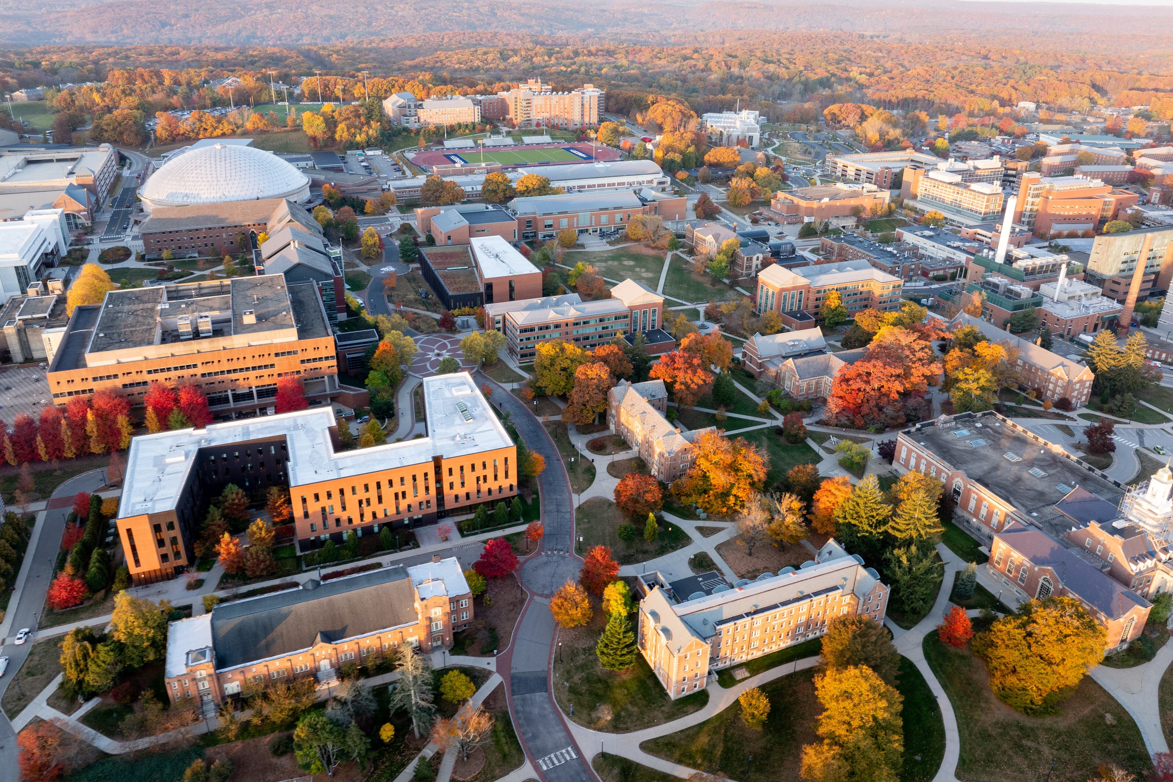 UConn Foliage